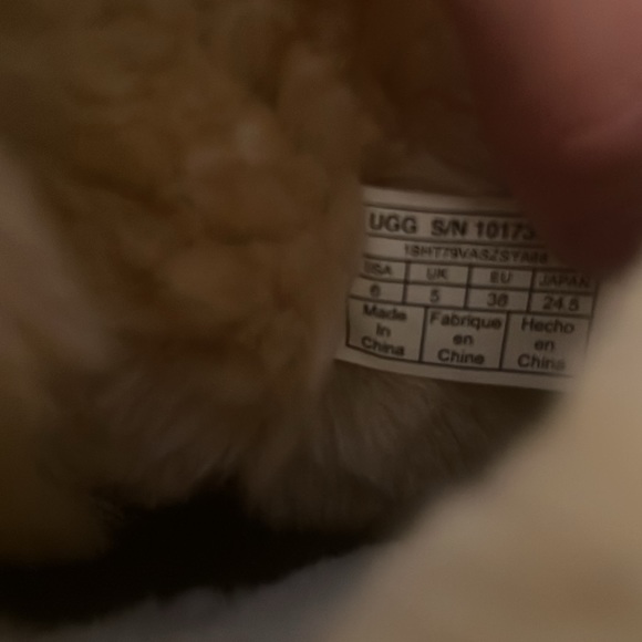 Bailey Bows - Picture 4 of 4